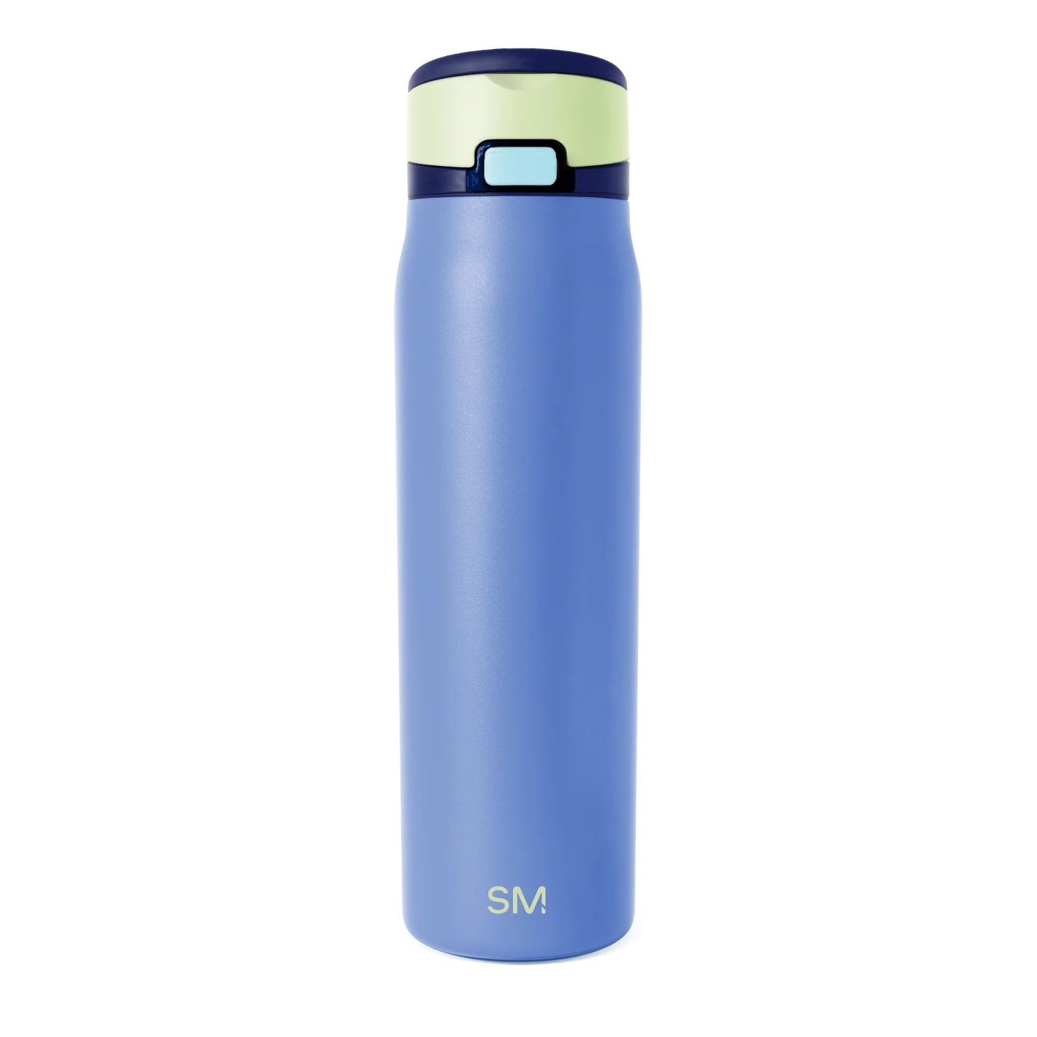 Simple Modern Mesa Loop with Covered Straw - 30oz Neptune Mix